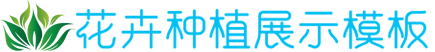 2007so太阳集团