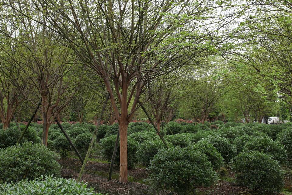 汇绿生态重组进展：交易涉及资产的审计、评估等工作正推进中