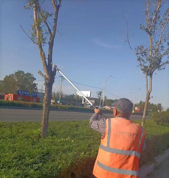 清理树木萌芽条 为绿化苗木“减负”护航